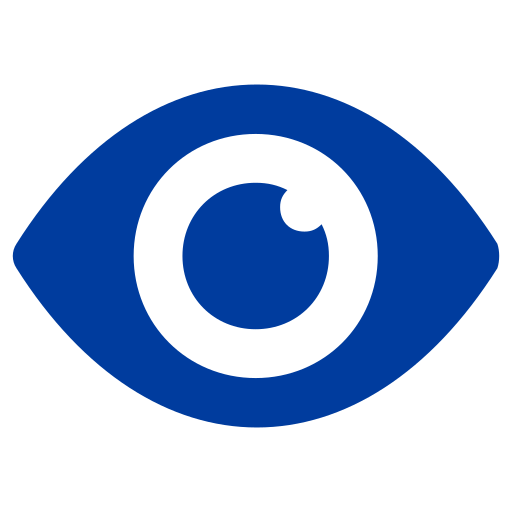 vision